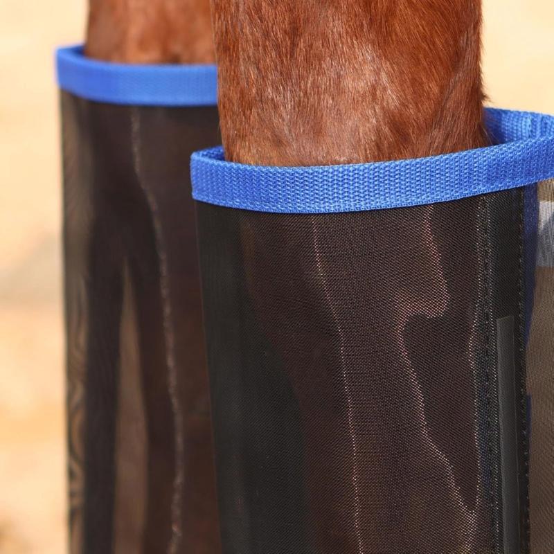 Protector ajustable para entre - Brushing Boot Horse reseña y precio