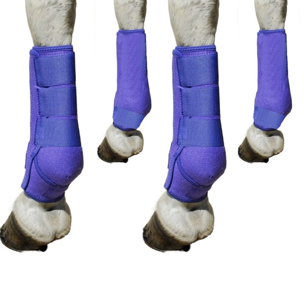 Juego de 4 botas deportivas co - Brushing Boot Horse reseña y precio